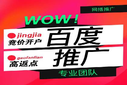 某某sem代运营公司成功案例：提高转化率